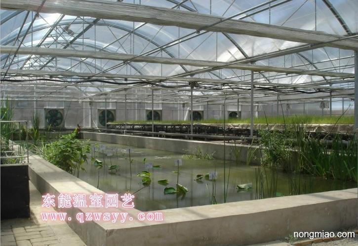 水产养殖温室建造青州东能|其它图片及价格-青州市东能温室园艺工程