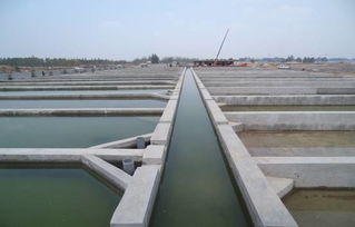 临沂现代渔业产业园冷水鱼养殖基地部分建成投产