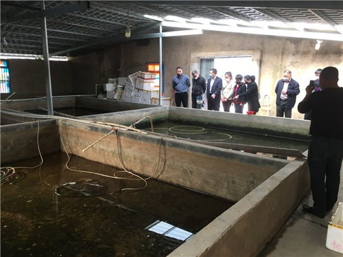 福建省龙岩市水技系统深入基层,指导水产养殖企业复工复产