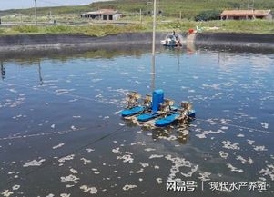 如何降低台风暴雨天气对水产养殖的影响 减少鱼塘损失呢