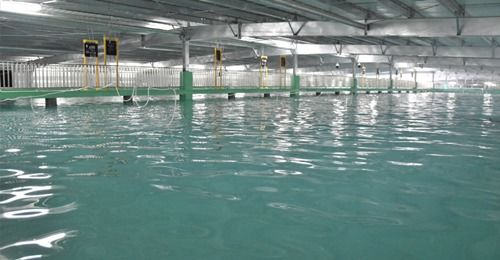 水产养殖迎国家级技术导则 海璟提供工厂化海水养殖解决方案