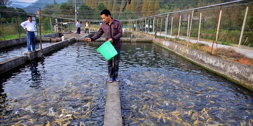 水产养殖业排放控制新规将出,允许地方 一区一策