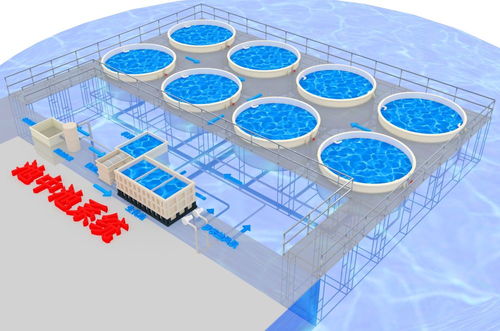 生态循环水养殖系统 开启水产养殖新模式